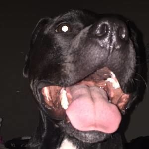 Meet your Posher, Christian